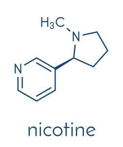 chemical structure of nicotine